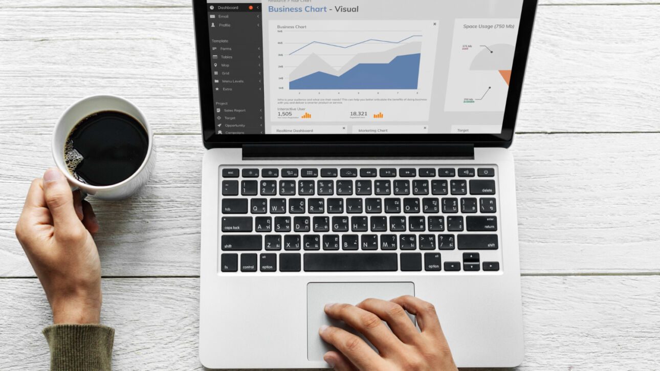 Person using a laptop displaying business charts, showcasing top SEO audit services in London.